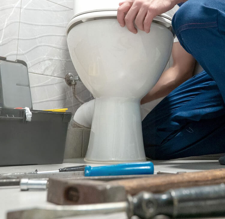Desentupidora de vaso sanitário DeltaPrag
